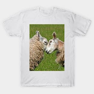 Sheep Fight! T-Shirt